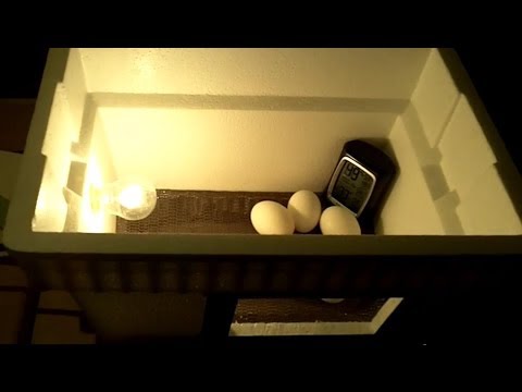 DIY $20 Egg Incubator - How To Make An Egg Incubator, CHEAP and EASY 