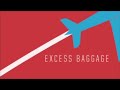 Etnies Excess Baggage Barney Page - Skateboard