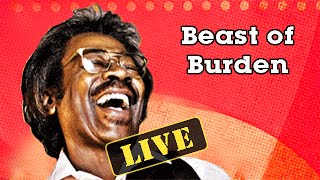 Watch Buckwheat Zydeco Beast Of Burden video