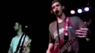 Watch 100 Monkeys Gus video
