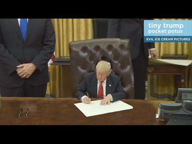 Tiny Trump - Video
