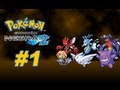 Pokemon Black Batalla Wi-Fi (1) Combate Lanzador
