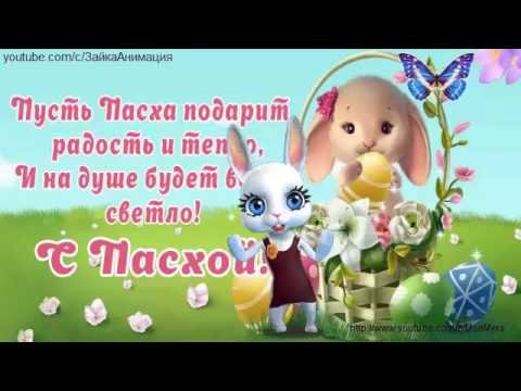 Поздравления с пасхой zoobe зайка Поздравления с пасхой zoobe зайка