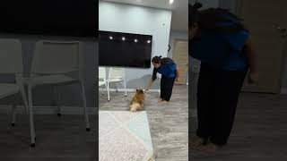 Bütün Hareketleri Tam Yaptı
