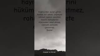 Şimşek