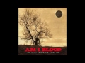 Am I Blood - (2005) The Truth Inside The Dying Sun