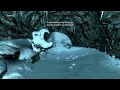 skyrim game
