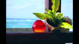 Background Music 34 Happy Time 34 Japan Relaxing Music Guitar Instrumental Music Background Music 34 Happy Time 34 Japan Relaxing Music Guitar Instrumental Music