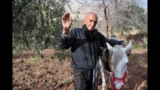 40 Yıldır Engebeli Arazilerde Atla Çift Sürerek Geçimini Sağlıyor