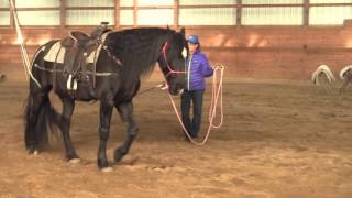 Saddle Fitting - Part 5 Christian