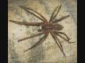 Hobo Spider - Habitat and Distribution - Article Index Hobo Spider - Habitat and Distribution - Article Index