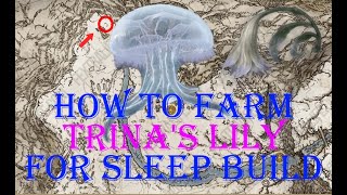Best Way To Farm Trinas Lily For All Your Sleep Build Needs