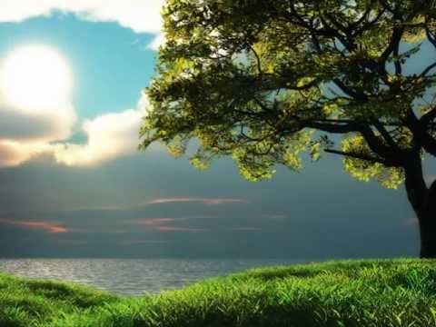 Bollywood Superhit Songs of 1997 (HQ) बॉलीवुड