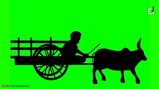 Bull Cart Green Screen