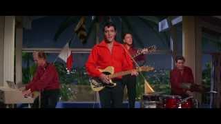 Watch Elvis Presley Startin Tonight video