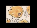 kamijyo