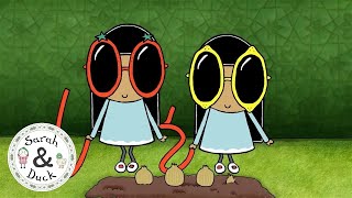 Meet The Ribbon Sisters - Character Spotlights - Sarah & Duck