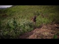 Democratic Republic Of Congo S Rape Problem images Democratic Republic Of Congo S Rape Problem