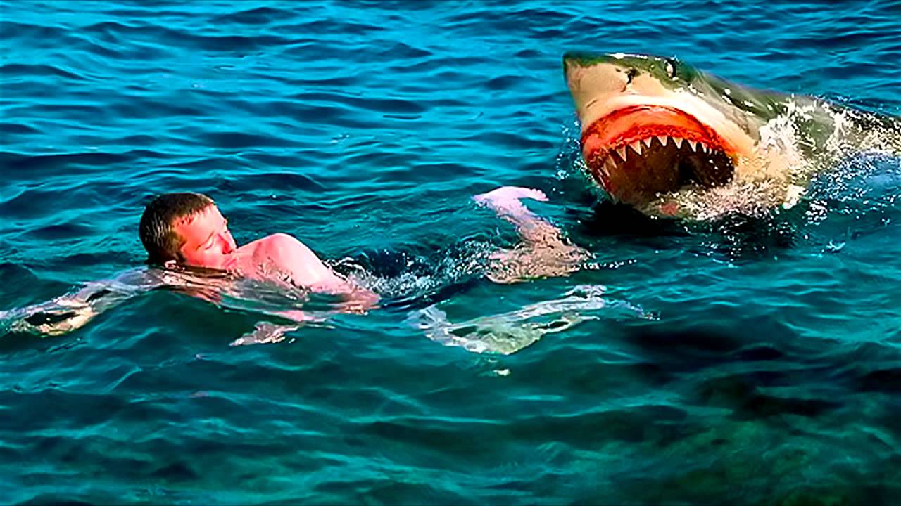 Eaten Alive Shark Attack YouTube