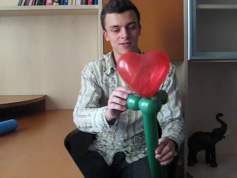 Цветы из шариков своими руками Цветы из шариков своими руками