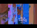 Mirror Video preview