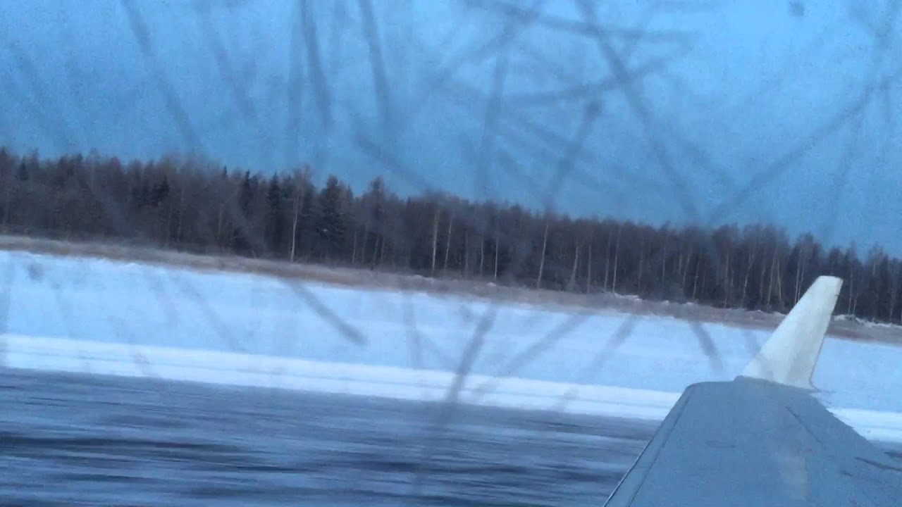 Посадка в череповце Посадка в череповце