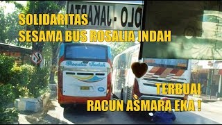 Solidaritas Sesama Bus Rosalia Indah, Terbuai Racun Asmara EKA !