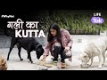 Gali Ka Kutta | A Short Film On Animal Welfare | Street Dogs | Life Tak
