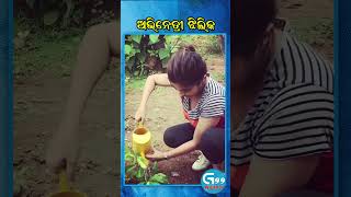 Odia Actress Jhilik Bhattacharya Plantation