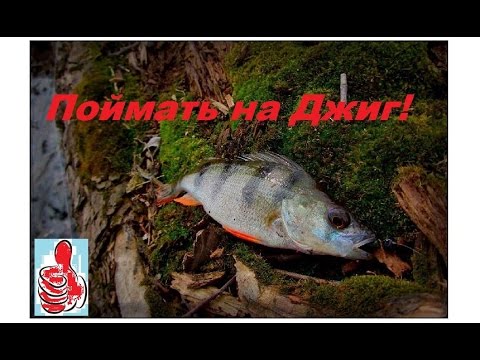 Какую плетенку выбрать Какую плетенку выбрать