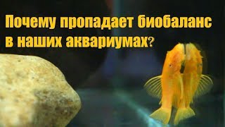 Баланс В Аквариуме, Анонсы И Просто Флуд