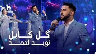 Navid Ahmad - Gul E Kabul | نوید احمد - گل کابل