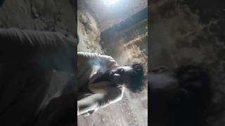 Knnu Mandloi Oon Khargon Mms1