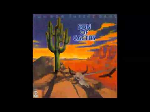 The New Cactus Band - Lady