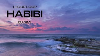 DJ Gimi - Habibi (1 HOUR LOOP) [TikTok song]