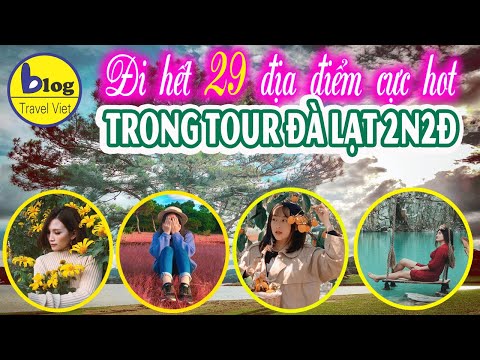 Du lịch Đà Lạt 2 ngày 2 đêm đi hết 29 địa điểm tham quan cực hot