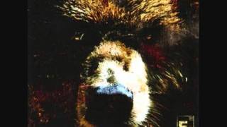 Watch Element Eighty Boars video