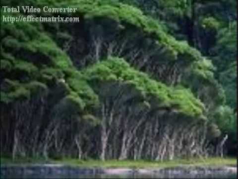 rabab sazeena mehfil 3