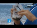 snorkel