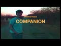 Companion Video preview