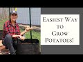 Grow Potatoes in Containers!  Easily Grow Potatoes with Limited Space!