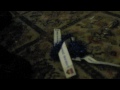Let's Torture Blue Things - The Sequel.mov