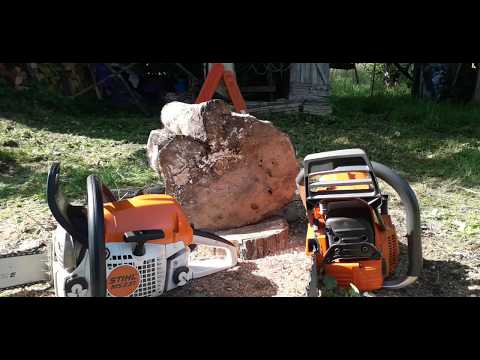 Husqvarna 365 xtorq & Stihl ms 231 few cuts .