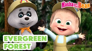 Masha And The Bear 2024 🌱 Evergreen Forest 🌳🌲 Best Episodes Cartoon Collection 🎬