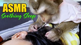 Asmr Soothing Sleep No Talking Relaxing Monkey Grooming For Deep Sleep