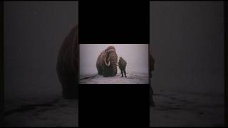 Only Man On Record To Have A Domesticated Woolly Mammoth