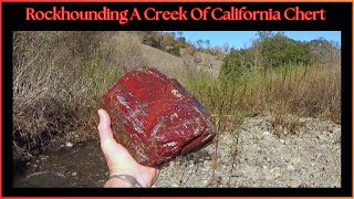 À La Recherche De Roches Dans Un Nouveau Ruisseau Plein De Chert - Se 9 Ep 9 - Vid Par Q...