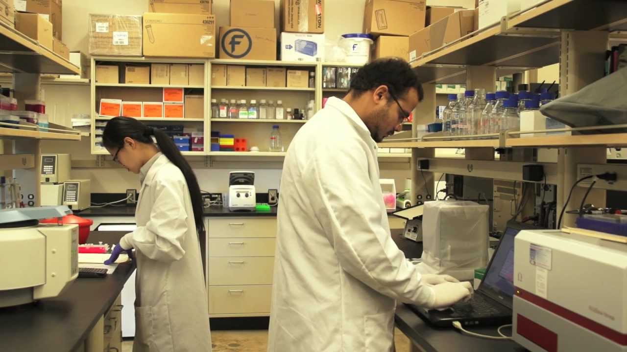 Research papers on pharmacy