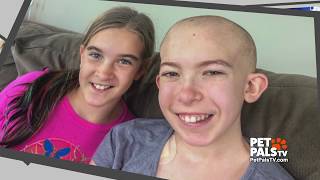 Dog helps girl with brain cancer