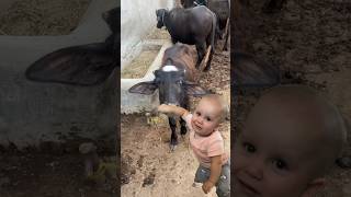 Just Funny Baby